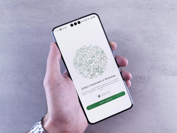 Numéro De Roulette Rng Données