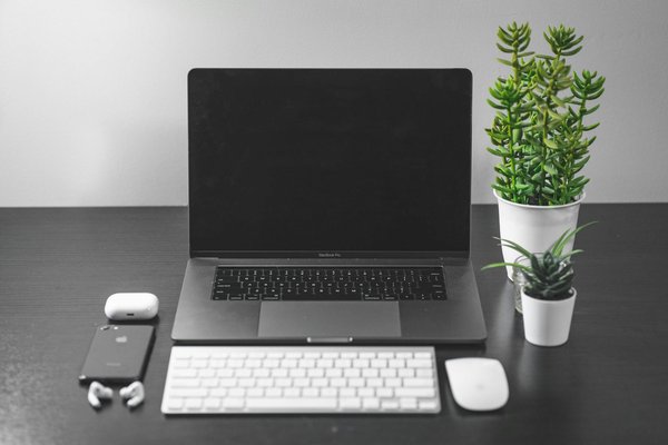 Ninlay Casino 50 Free Spins