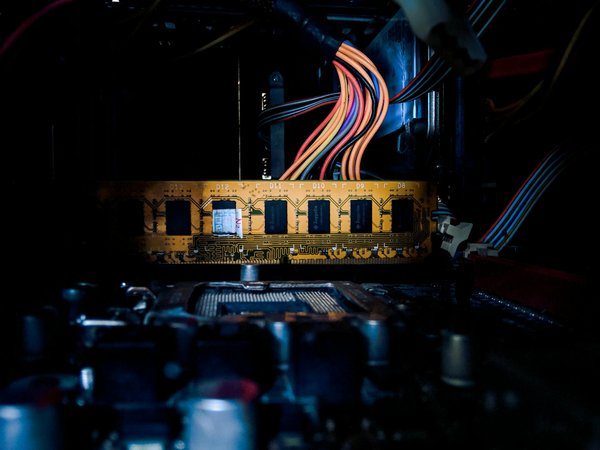 Meilleures Chances Dans La Roulette