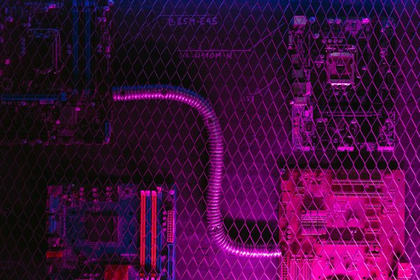 Olympus Bet Casino No Deposit Bonus