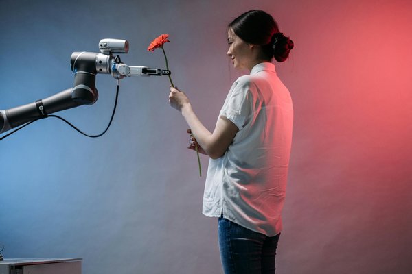 Playzee Casino 50 Free Spins